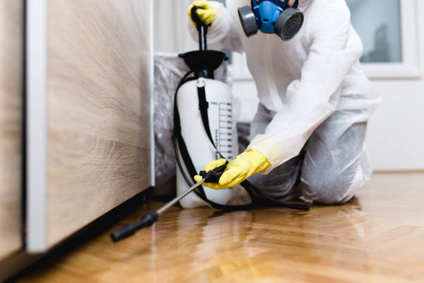 Best Affordable Pest Control Services  in Calvert, TX