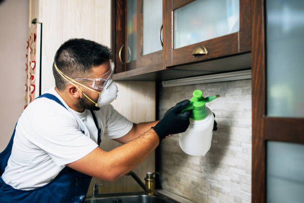 Professional Pest Control in Calvert, TX