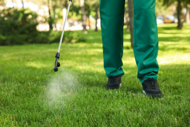 Best Bed Bug Extermination  in Calvert, TX