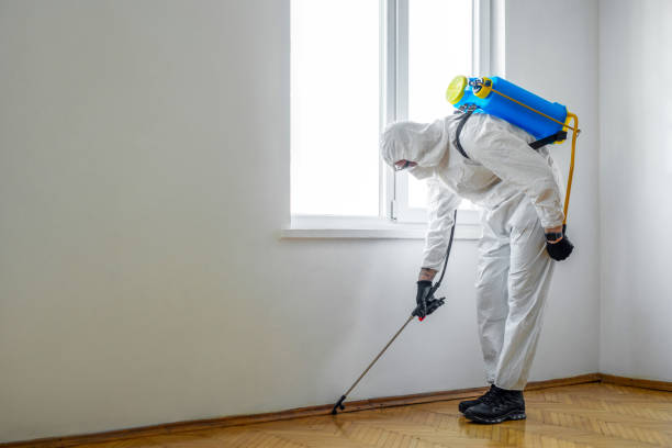 Best Pest Control for Homes  in Calvert, TX