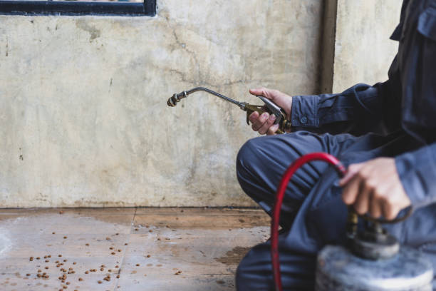 Best Pest Prevention Services  in Calvert, TX